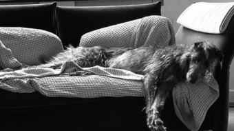 Wer-wird-schon-gerne-zu-etwas-gezwungen